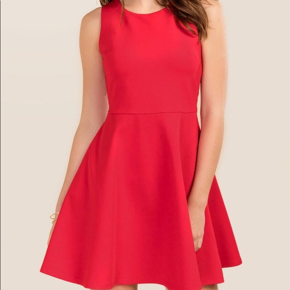 NWOT! Red Skater Dress